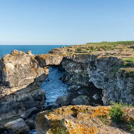 Fantasy * 튤레노보