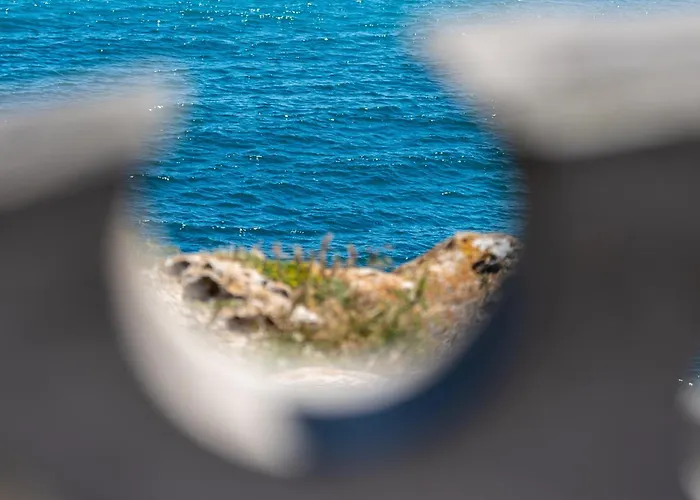 Fantasy Casa de Férias Tyulenovo